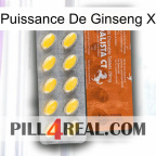Ginseng Power X 42